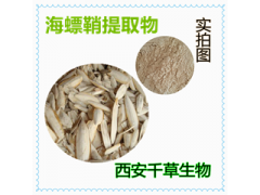 海螵鞘提取物 海螵鞘濃縮粉 海螵鞘浸膏粉 海螵鞘水溶粉