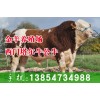 哪里賣牛小牛犢
