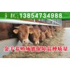 西門塔爾牛牛犢的價格