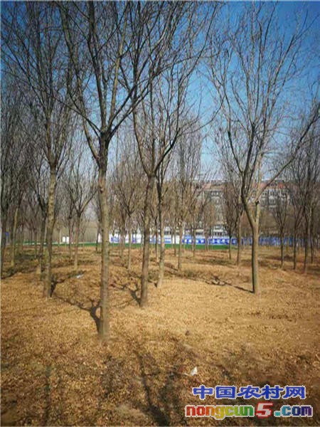 微信圖片_20190319091832