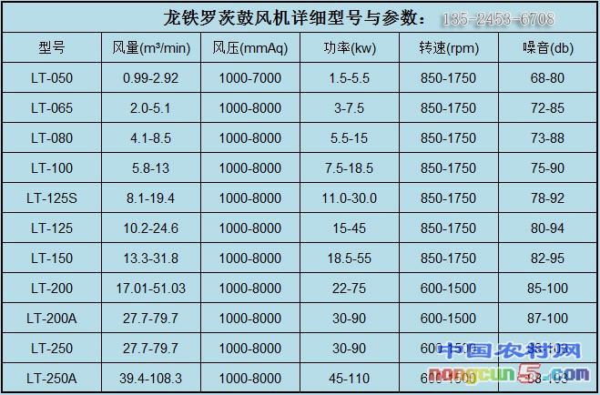 羅茨鼓風(fēng)機參數(shù)