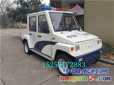 電動(dòng)巡邏車皮卡車01 (2)