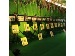 濟(jì)源出租海獅表演