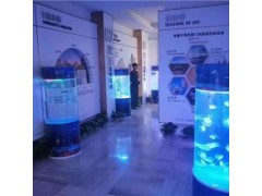 浙江省租賃多種萌寵如何選擇