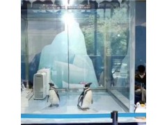 重慶市龍貓羊駝出租資源多