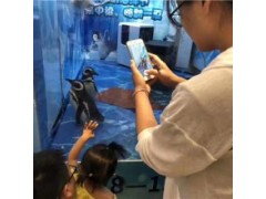 湖南省羊駝?wù)褂[的場(chǎng)地在哪里