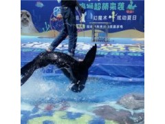 安慶市哪里有出租羊駝的