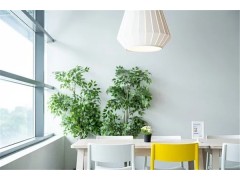 他是如何實(shí)現(xiàn)人生逆襲，必普:借靠譜餐企來了“回馬槍”