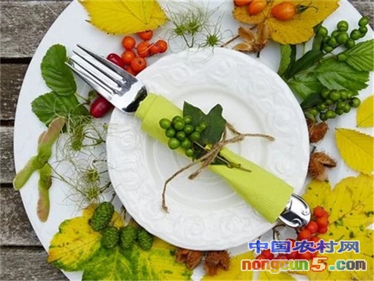 plate-3640402__340.webp