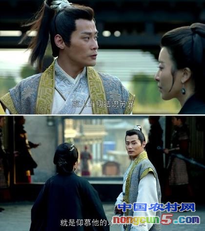 琅琊榜结局梅长苏死了吗 小殊最后为何不带霓凰出征长林军是什么